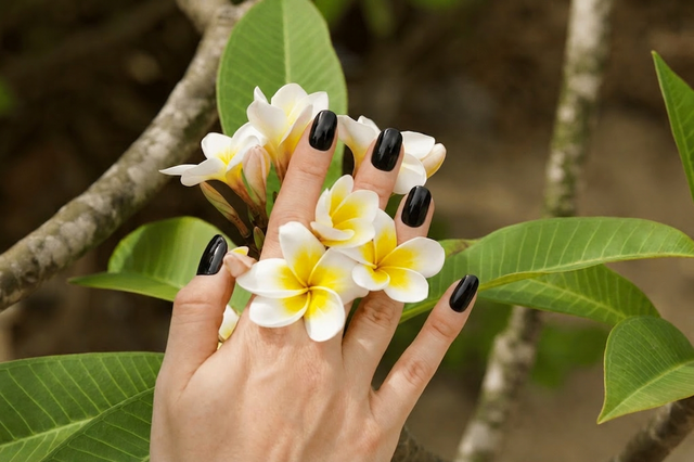 Lady Noire — black gel nail wraps from 5 Minute Salon