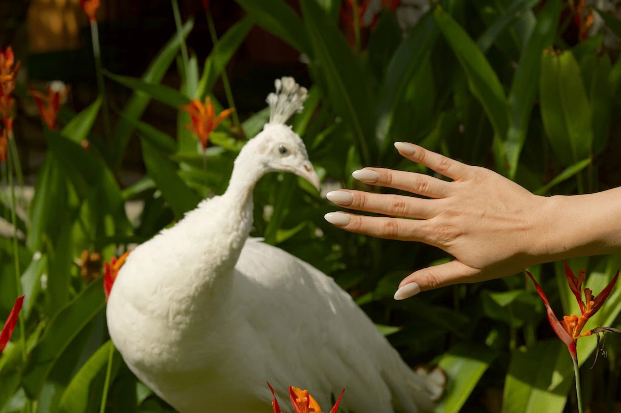 Soft Power white gel nail wraps — image 3