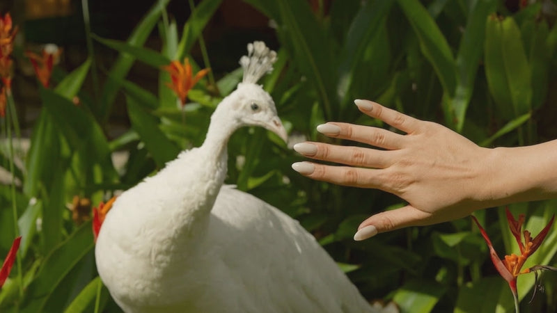 Soft Power — white gel nail wraps from 5 Minute Salon
